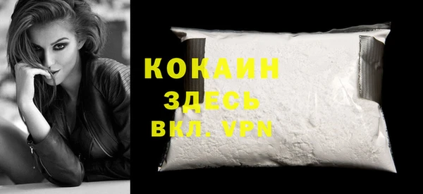 прущие грибы Козельск